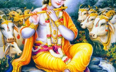 Wer bin ich wirklich?